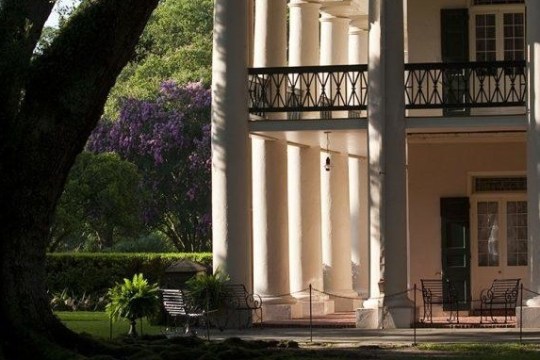 Oak Alley Antebellum Plantation